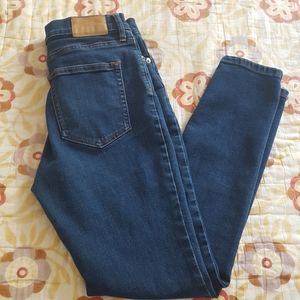 Everlane Authentic Stretch High Rise Skinny Jean